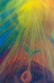 /album/gallery/sol-jpg/